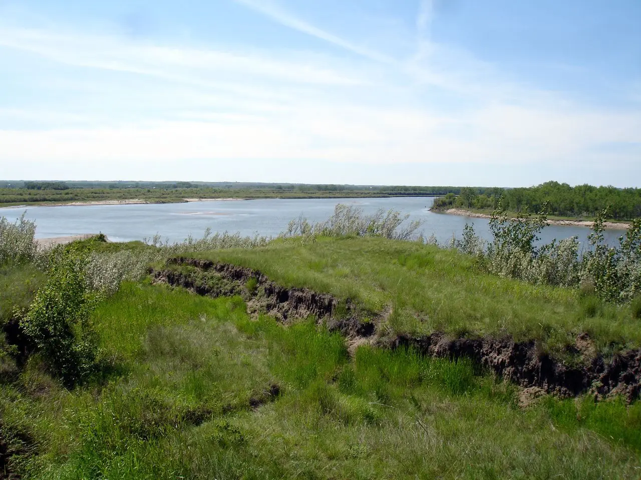 Eroding bank of the South Saskatchewan River