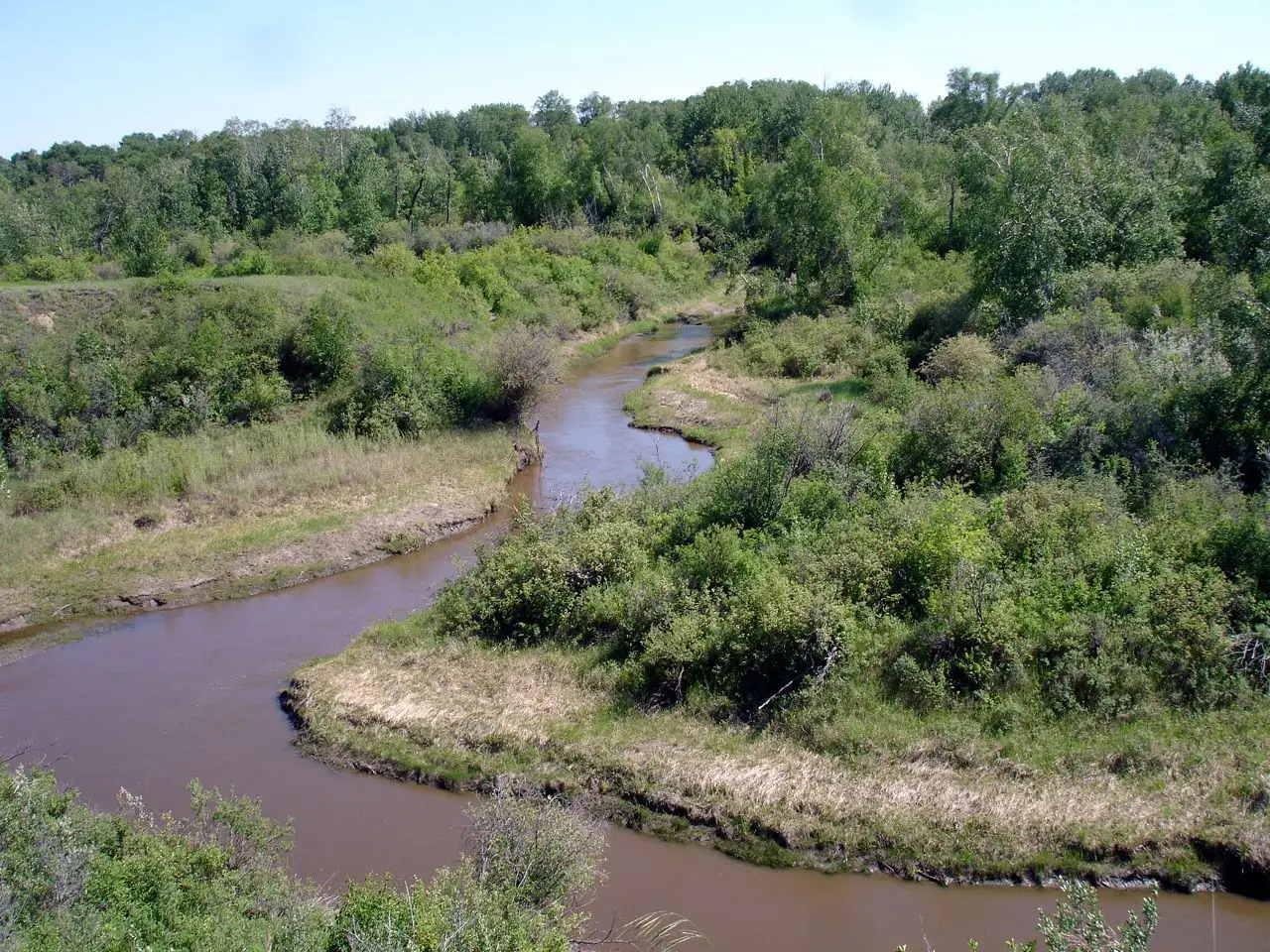Winding creek through the valley