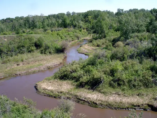 Winding creek through the valley