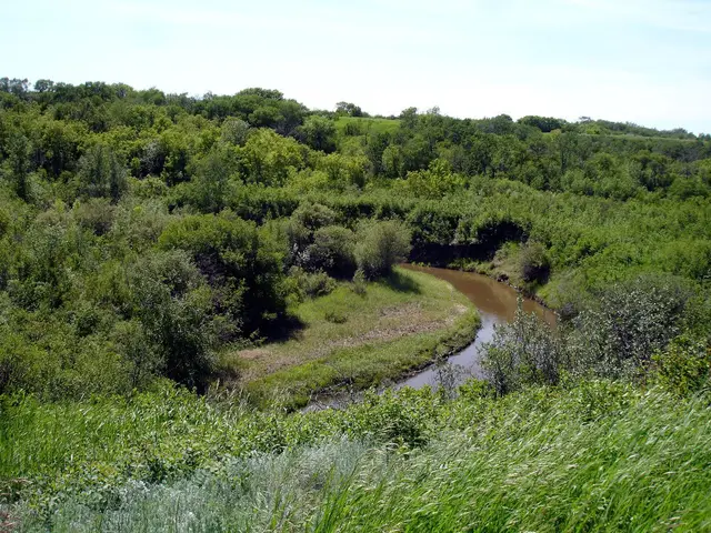 Beaver Creek winding through the valley