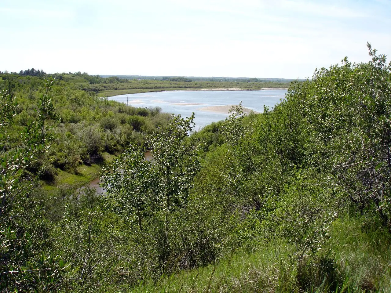 Where Beaver Creek meets the river