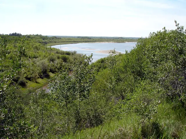 Where Beaver Creek meets the river
