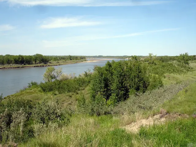 South Saskatchewan River valley looking north